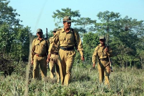 Gujarat Forest Guard Recruitment
